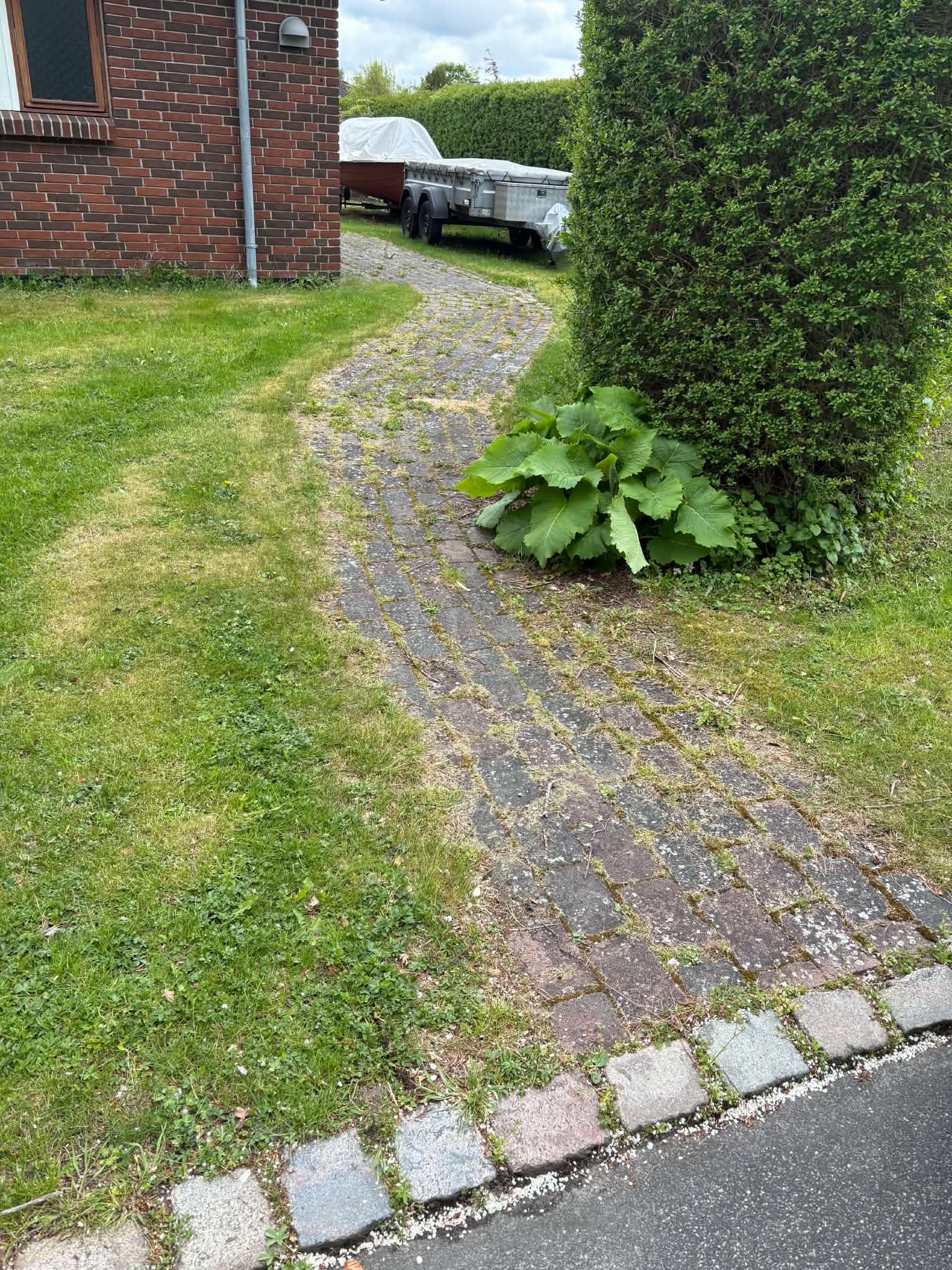 Havesti før fliserens